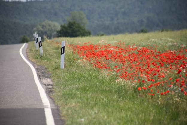 https___www.pfarrbriefservice.de_sites_default_files_atoms_image_10765_stradfenrand_mit_mohn_by_doris_michael_will_pfarrbriefservice