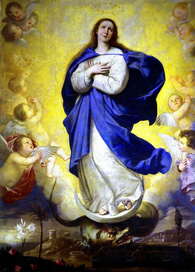 Immaculata