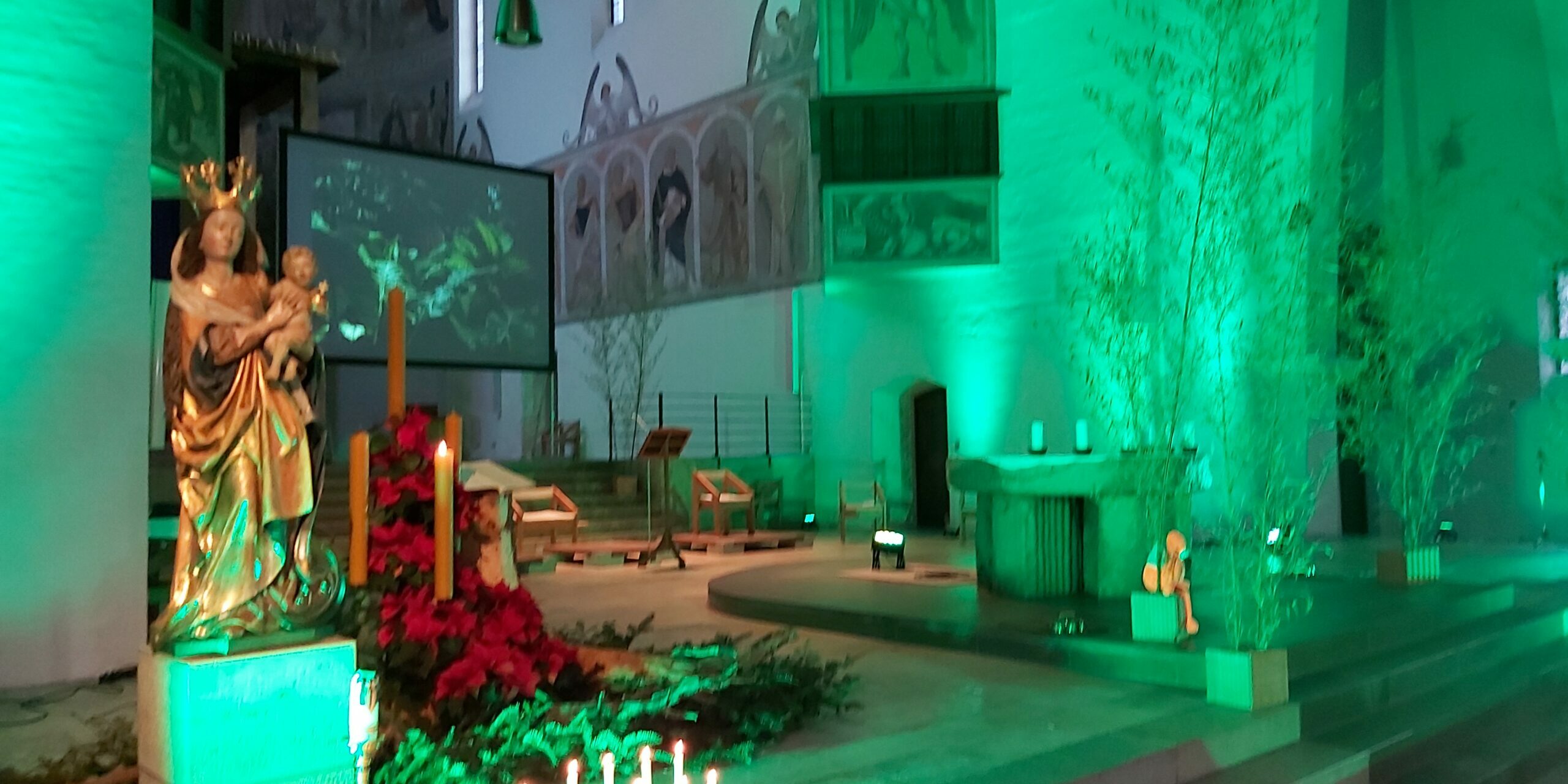 Dschungelbuch Eindruck St. Josef