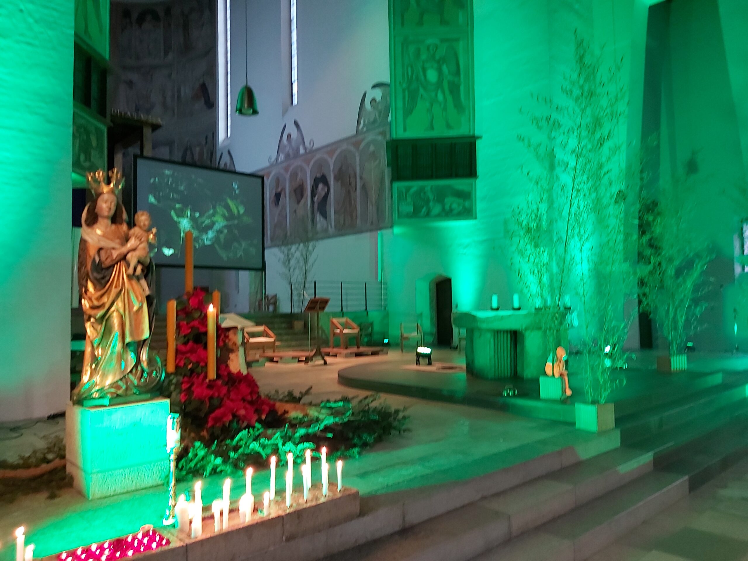 Dschungelbuch Eindruck St. Josef