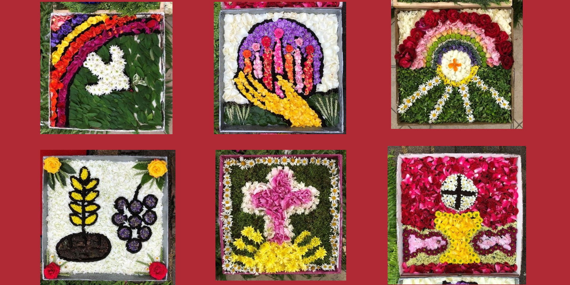 Blumenteppich im Pizzakarton Teaser
