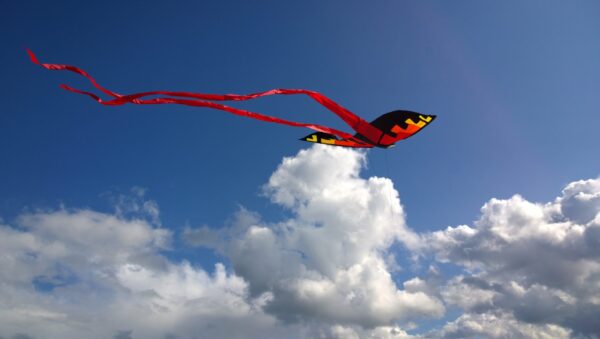 kite-1375114